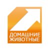 Домашние животные смотреть онлайн  прямая трансляция в хорошем качестве.