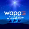 WAPA-DT1