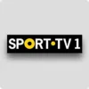 Motor sport revue HD