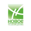 Новое Телевидение