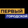 Первый городской телеканал Омск