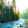 Реки музыка для релаксации